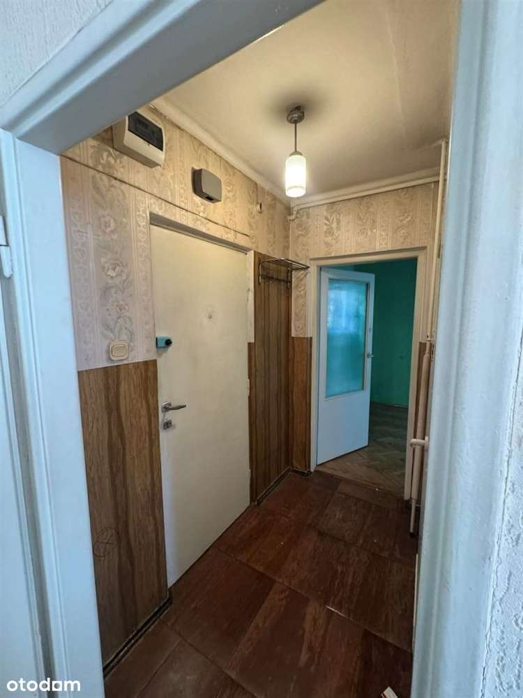 Parter z możliwościami-7