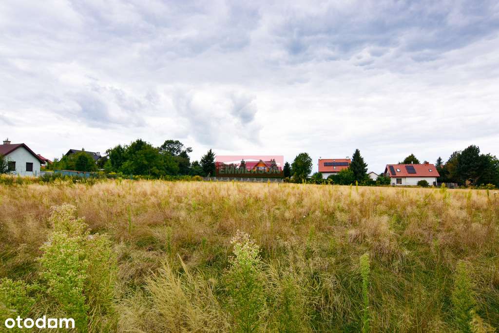 Poskwitów- Działka budowlana, płaska, słoneczna - Pełny obrazek: 3/5