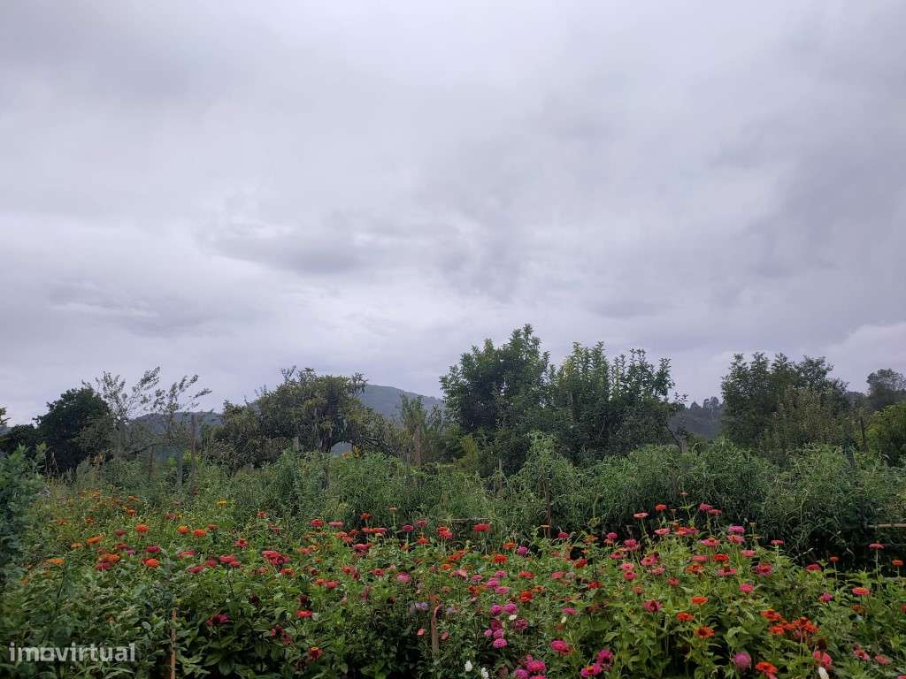 Terreno - Grande imagem: 5/6