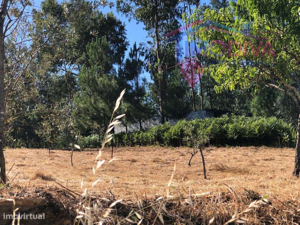 Arrecadação e terreno em Castanheira de Pera-13