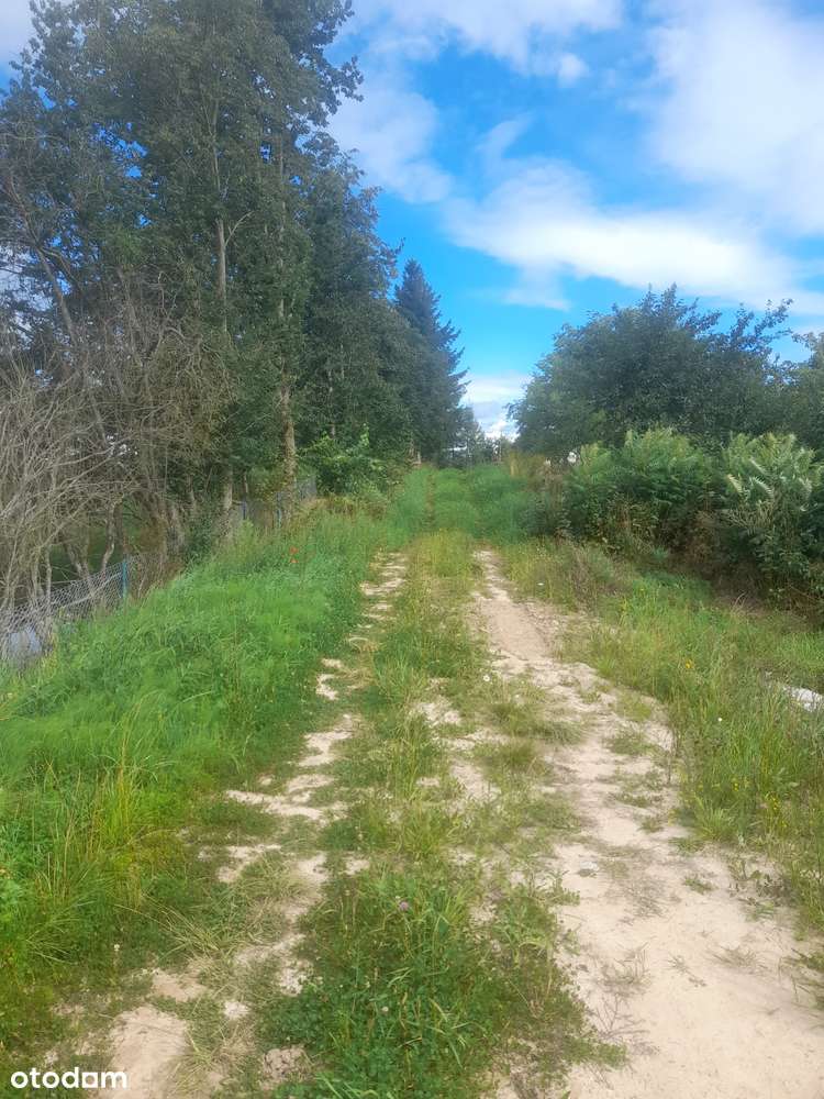 Działka z WZ, Mazury, Brajniki, Narty - Pełny obrazek: 5/8