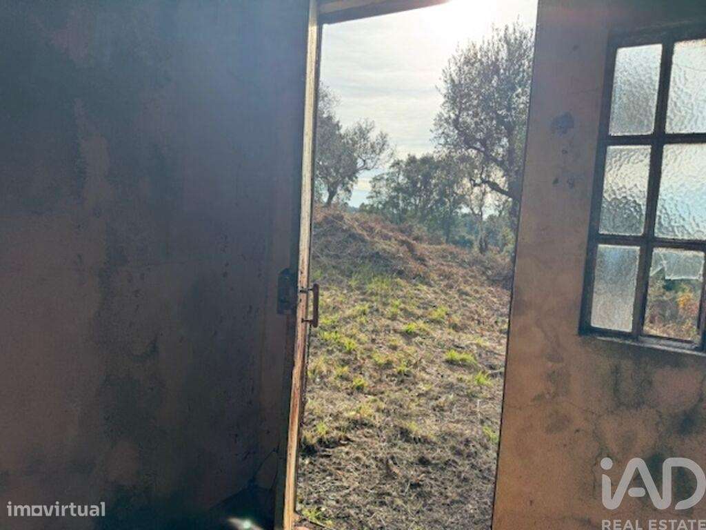 Casa de Campo T2 em Pedrógão Pequeno de 48 m2 - Grande imagem: 5/37