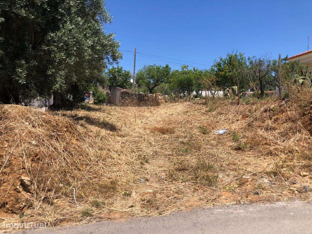 Terreno  para venda - Grande imagem: 3/13