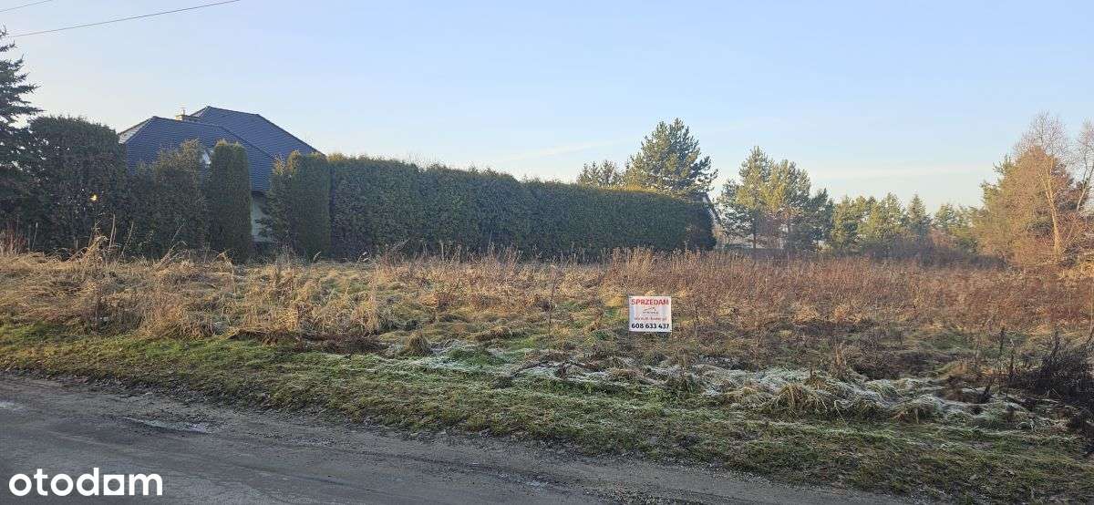 Chróstnik, gm. Lubin, powiat lubiński-0