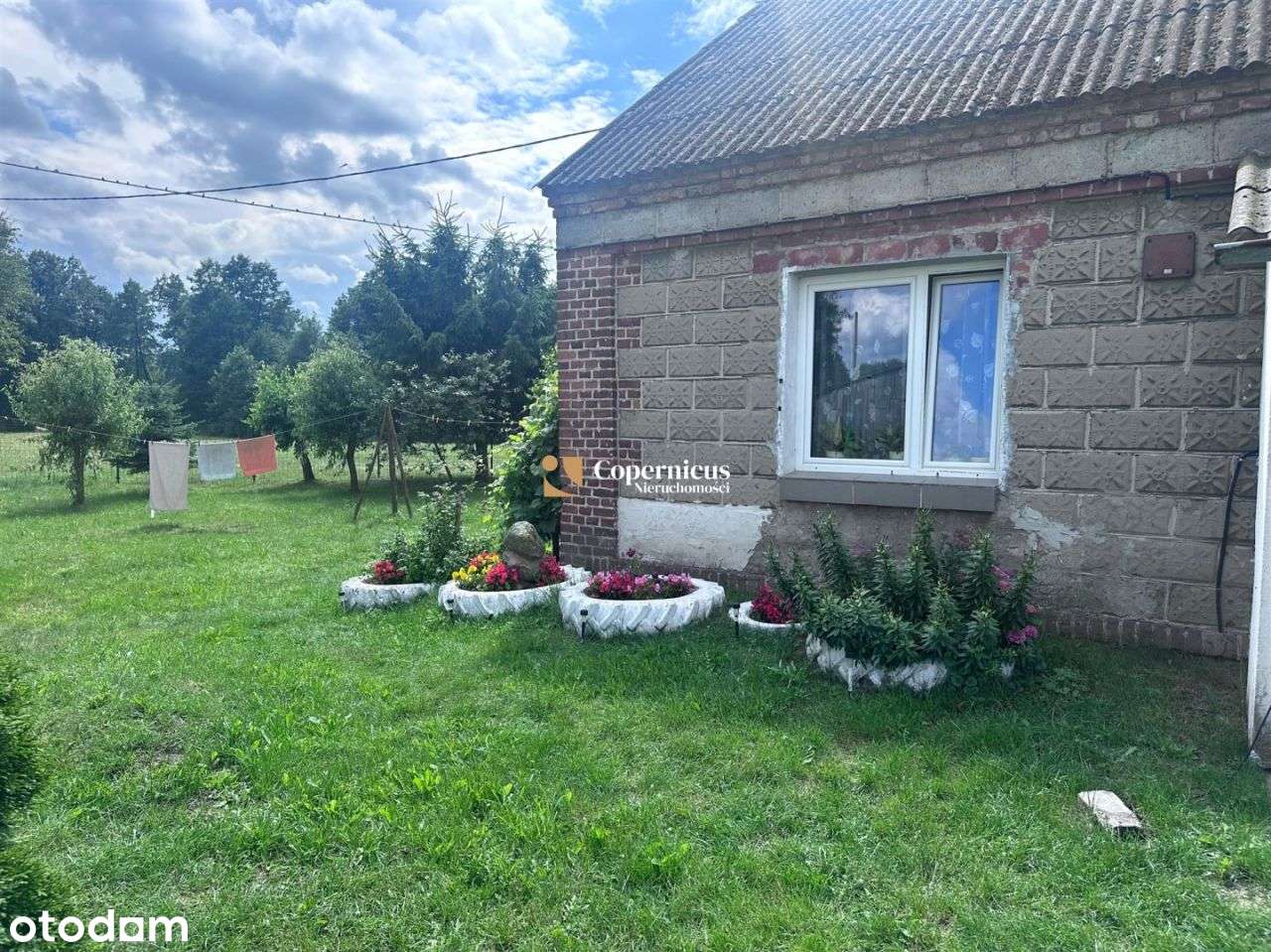 Grunt-6 ha z domem i budynkami,gm.Skępe,potencjał-8