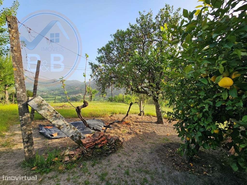 Moradia T4, em pedra, com terreno de 2.366 m² e Espigueiro datado d...-49