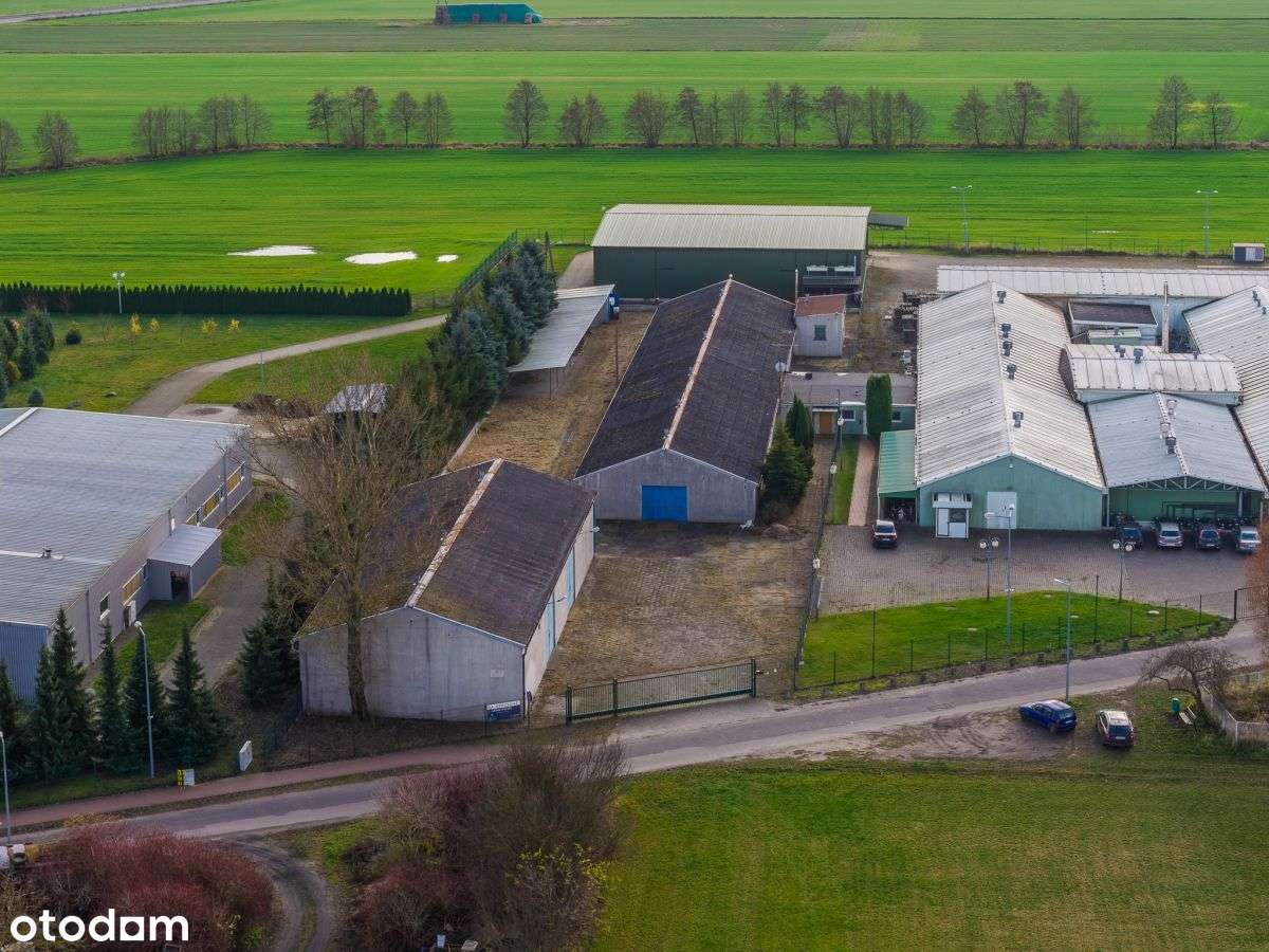 Hale magazynowo-produkcyjne na sprzedaż-9