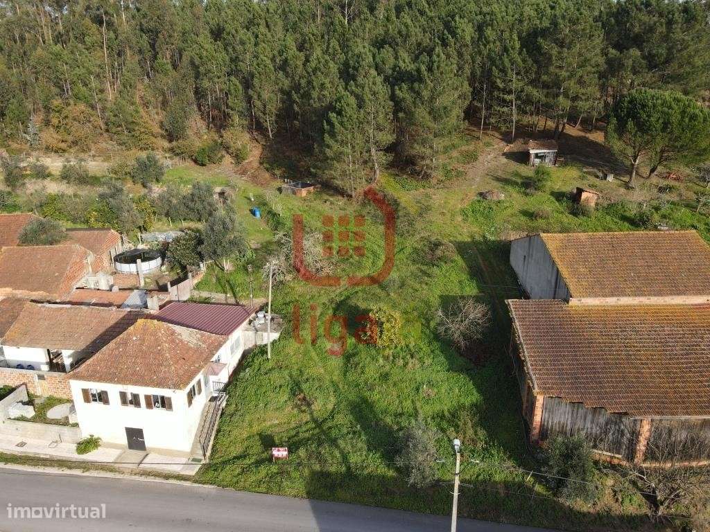 Terreno C/Viabilidade de construção! - Grande imagem: 3/6