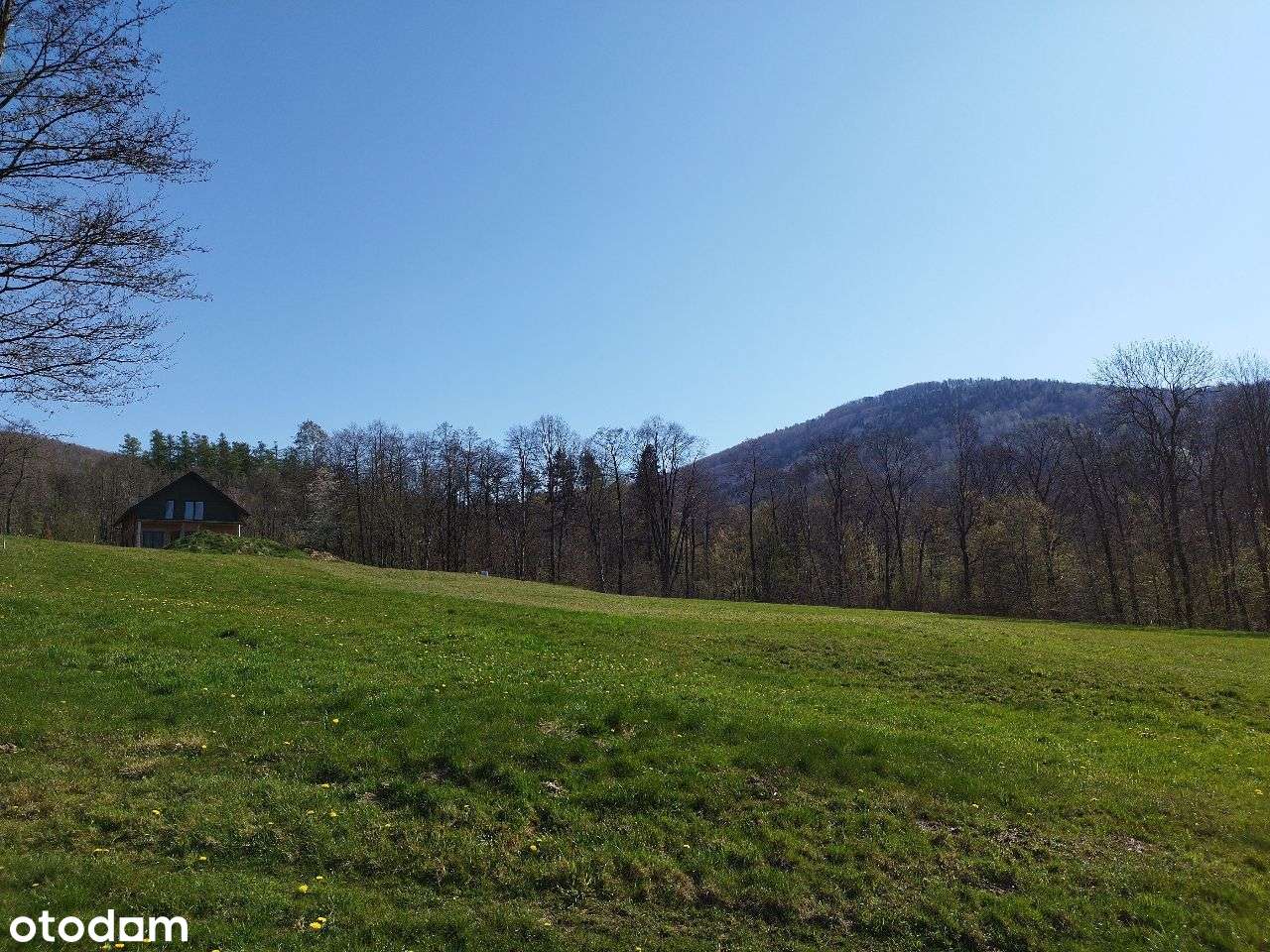 Widokowa działka wkoło las 1750 m2 BRENNA/GÓRKI W - Pełny obrazek: 5/15