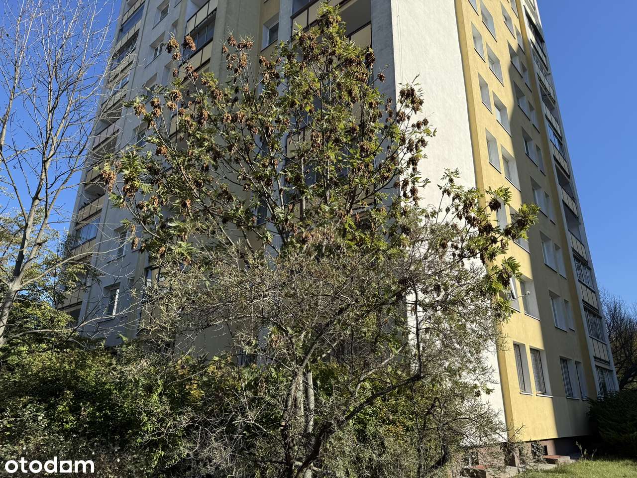 Komfortowe 3 pokoje z dużym salonem i świetnym układem + piwnica-19