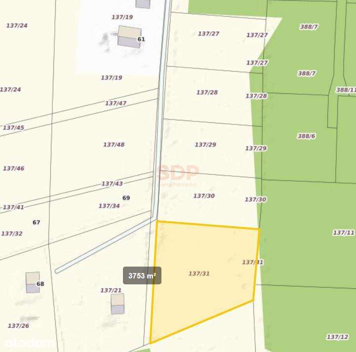 Działka mieszkaniowo-rekreacyjna o powierzchni 3753m2 w Nowej Wsi - Pełny obrazek: 5/6