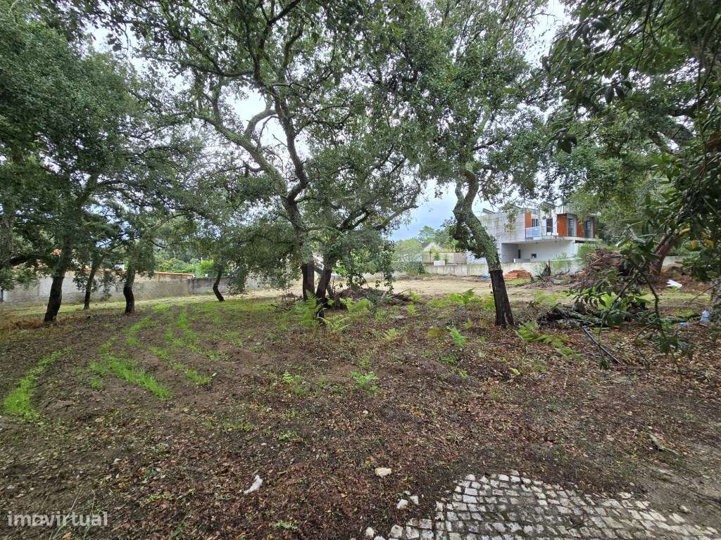 Terreno para construção de moradia isolada no Alto das Vinhas, Sesi... - Grande imagem: 4/5