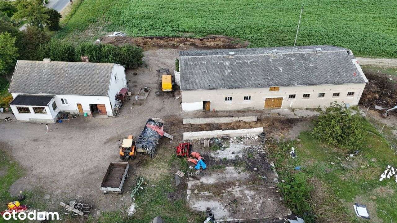 siedlisko Zelgno- Bezdół - Pełny obrazek: 5/10