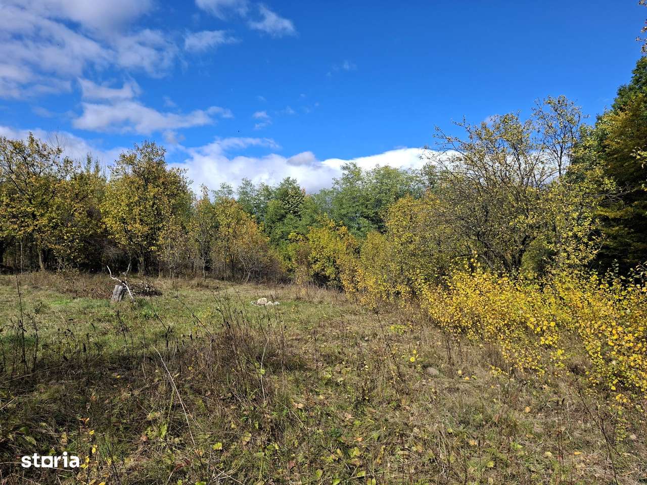 Priveliste de vis, 5 camere, anexe, 7000 mp, de mutat, comision 0%!-10