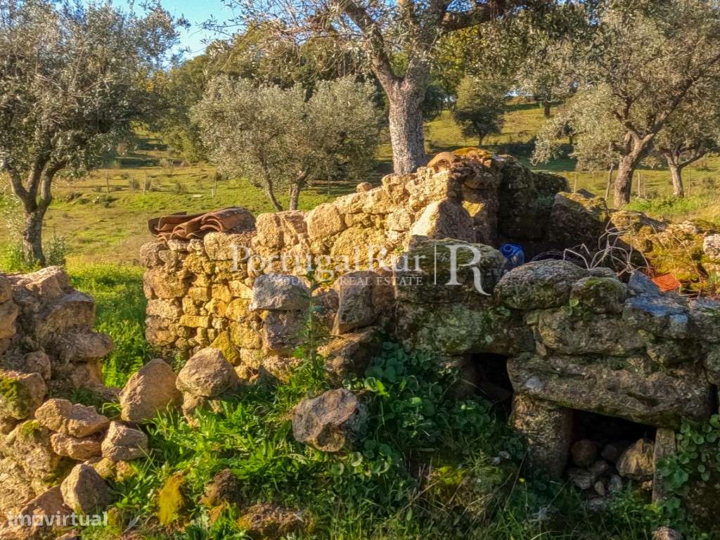 Quintinha com 1,2ha e ruína urbana em São Miguel Acha-12