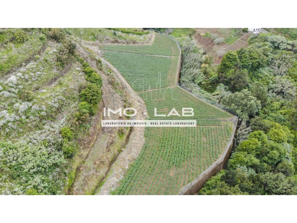 Armazém + 25.566m2 de Terreno Cultivado - São Jorge - Santana-13