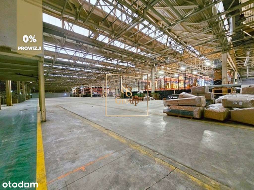 Do wynajęcia magazyn 500m2 Warszawa Praga-Północ - Pełny obrazek: 2/7