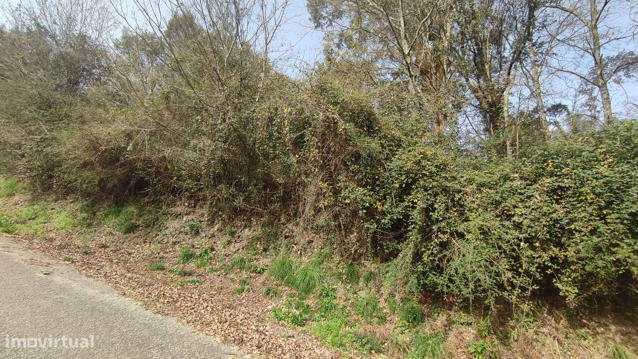 Terreno em Turiz, Vila Verde-16
