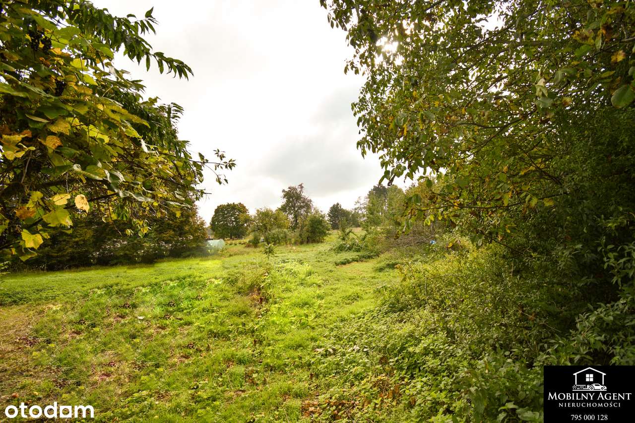 HIT ! Duży dom + działka + 2 garaże + budynek gospodarczy + samochód-18