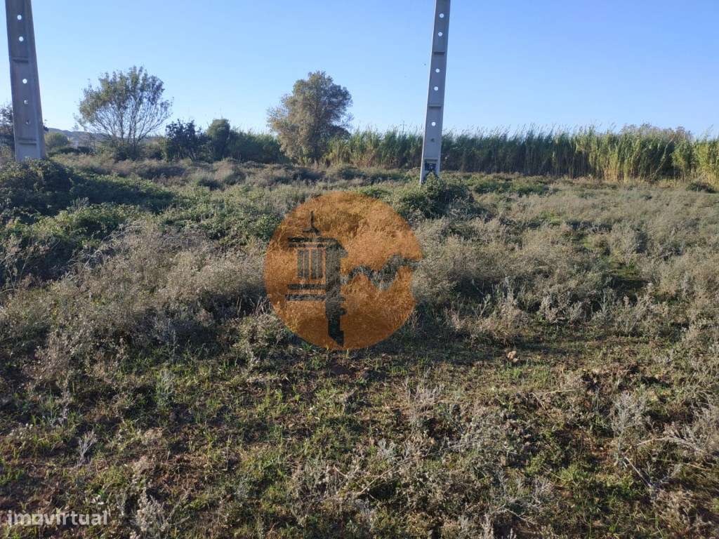 TERRENO COM RUINA - 4.960 M2 - COM NORA - ÁGUA DA BARRAGEM NA JUNQU...-24