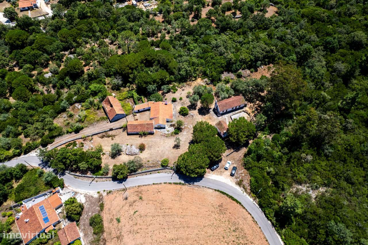 MORADIA/QUINTA EM ALCOBAÇA, LAGOA DO CÃO - Grande imagem: 5/60