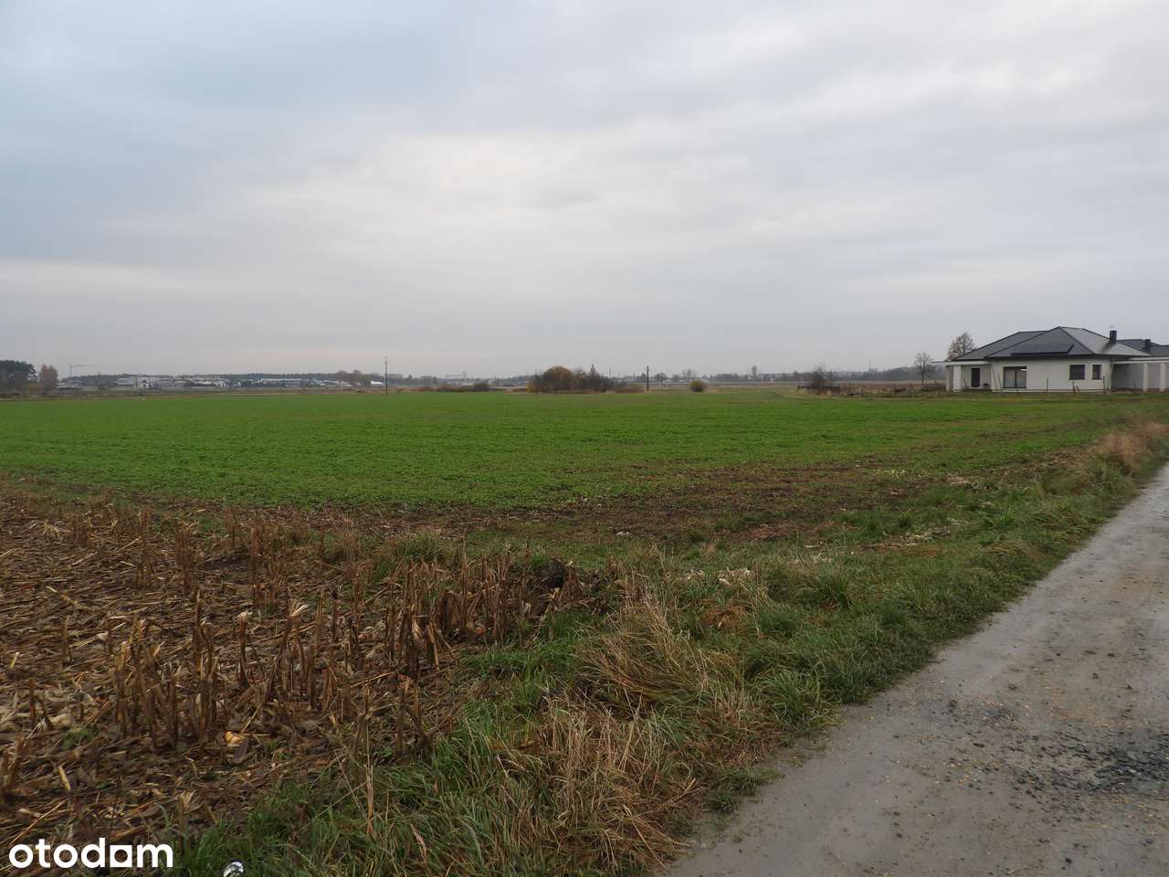 Działka 15 000 m² w Chojęcinie przy nowym osiedlu mieszkaniowym-18