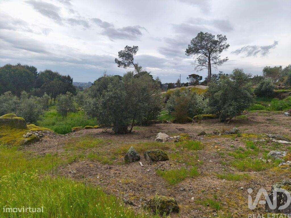 Casa de Campo T3 em Nelas de 6500,00 m2 - Grande imagem: 5/30