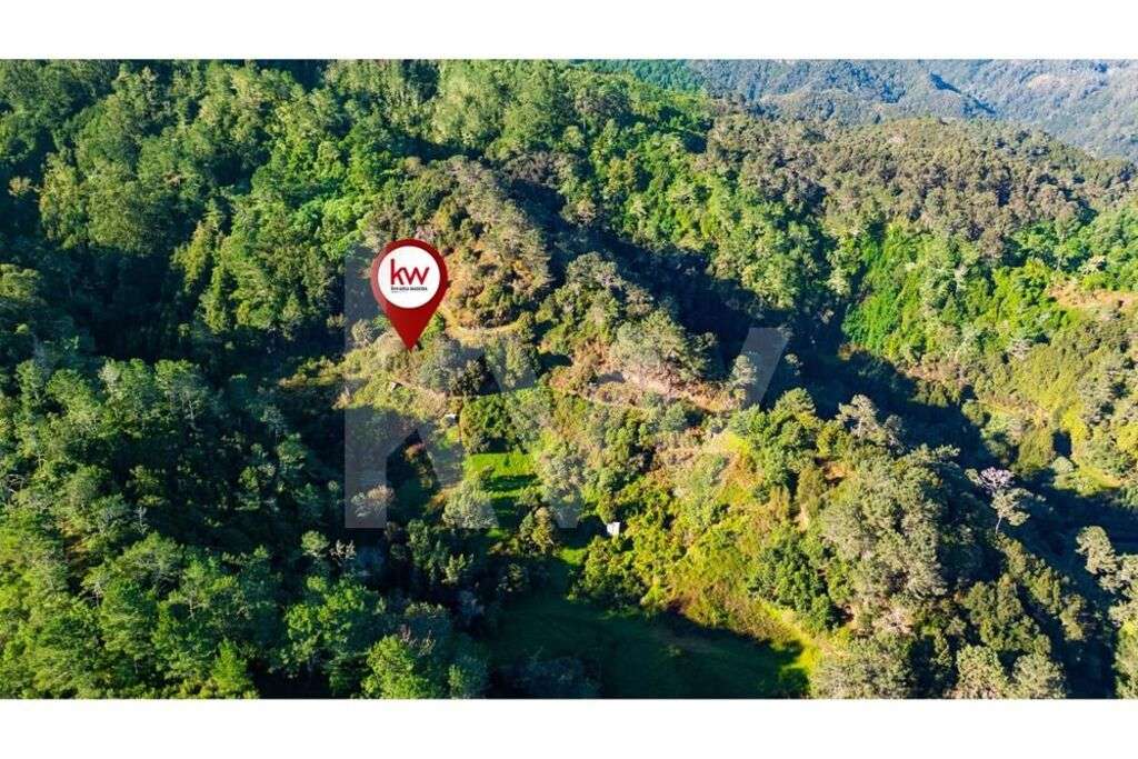 TERRENO COM 2980 M2 - SANTANA - ILHA - Grande imagem: 2/15