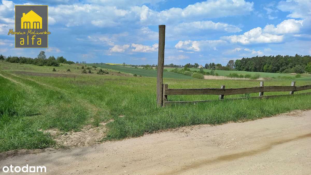 Osetno-Działka niedaleko jeziora-Piękny widok !!! - Pełny obrazek: 5/9