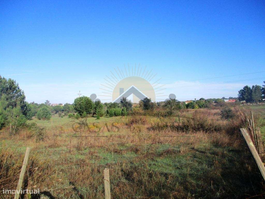 Bombel - Vendas Novas - Grande imagem: 4/10