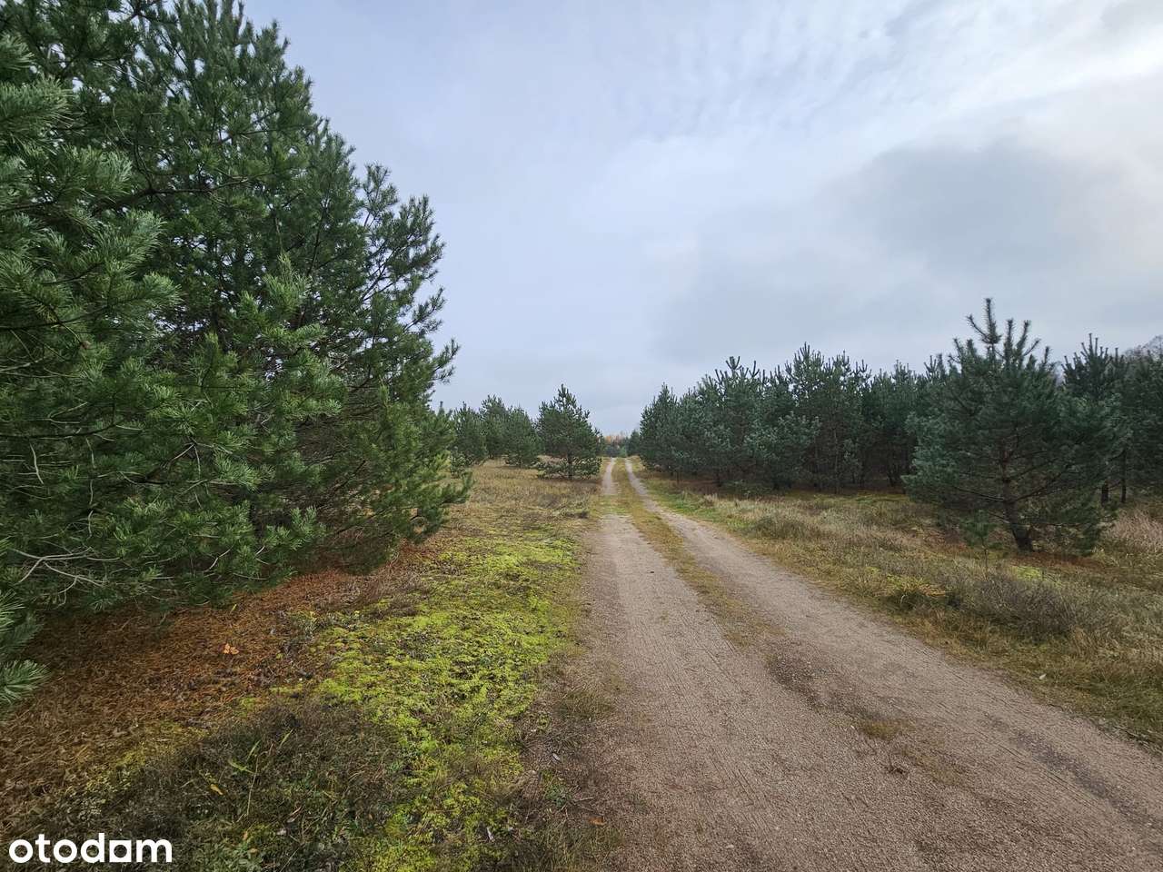 Łubiana | siedlisko i agroturystyka | otulina Wdzydzkiego Parku-3