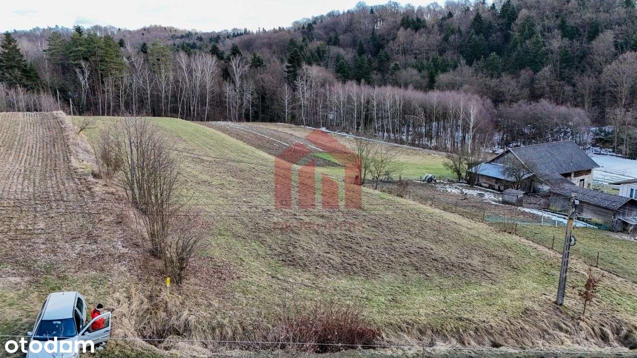 Przy lesie i widokowe działki z Wz, Uzbrojone-10