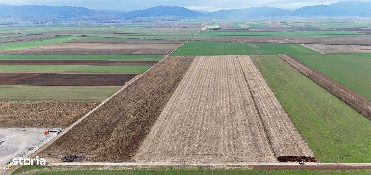 Teren Prejmer - Parc Industrial-5