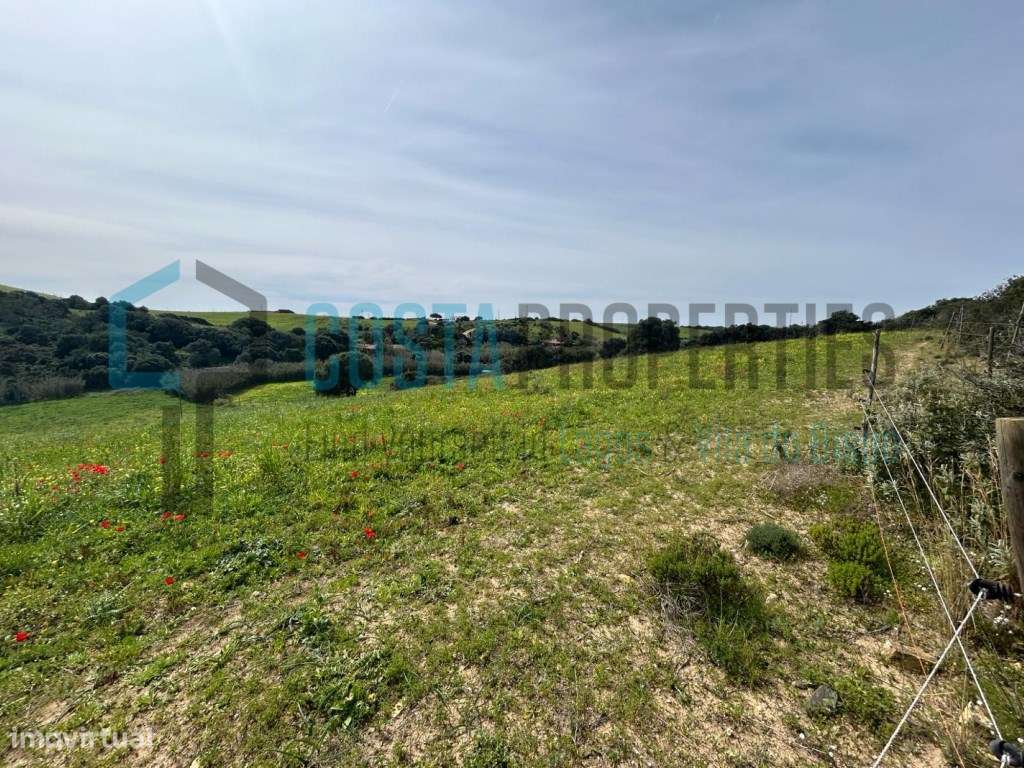 Terreno Rústico com Orientação Sul na Raposeira - Grande imagem: 5/11