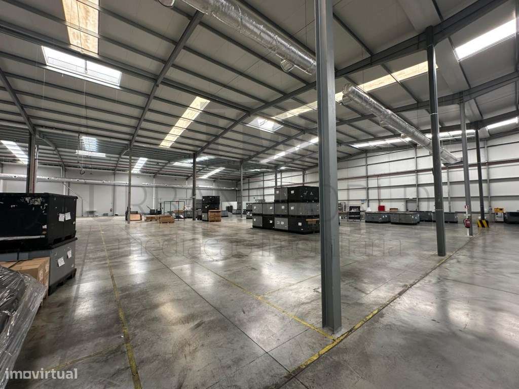 Armazém Industrial, Nelas - Canas de Senhorim, 4.279 m²-8