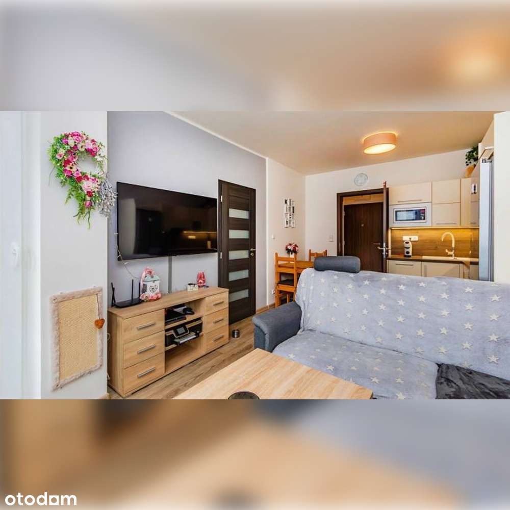 Wynajem 1-pokojowego mieszkania - Pełny obrazek: 2/9