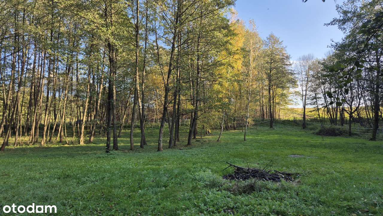 Działka 76 ar – Strażów WZ na dom jednorodzinny - Pełny obrazek: 4/12