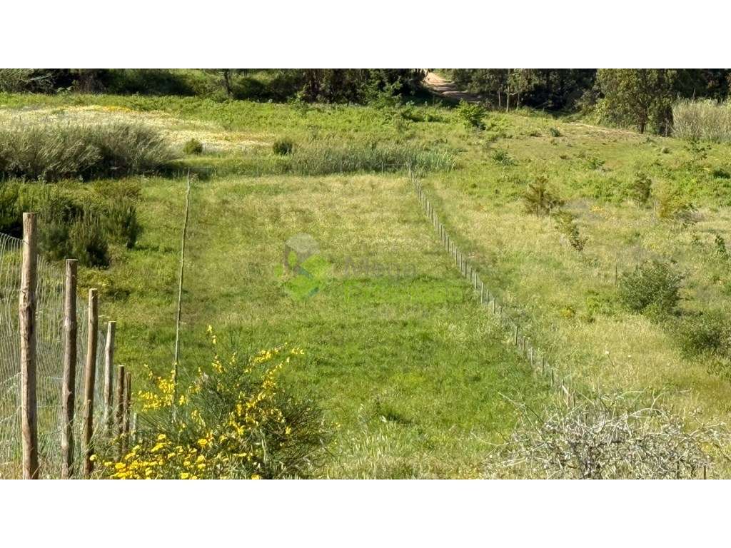 Terreno parcialmente urbano de 1.920 m2, perto de Torres Vedras-8