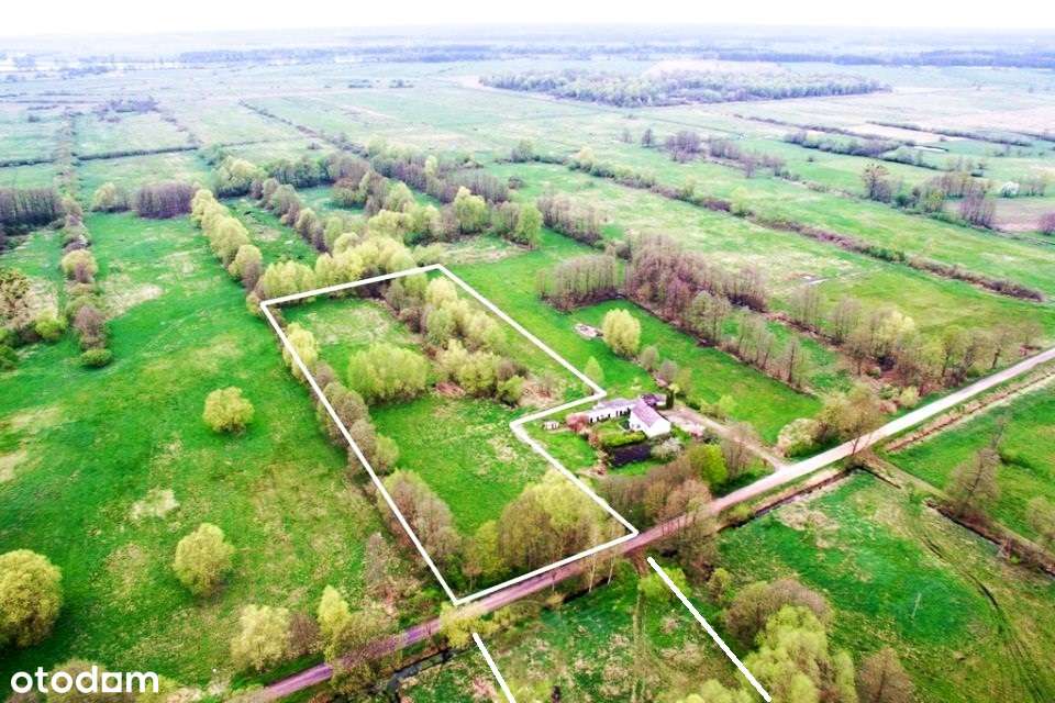 Działka, 5 500 m², Lipki Wielkie - Pełny obrazek: 2/2