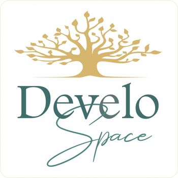 DeveloSpace Logo