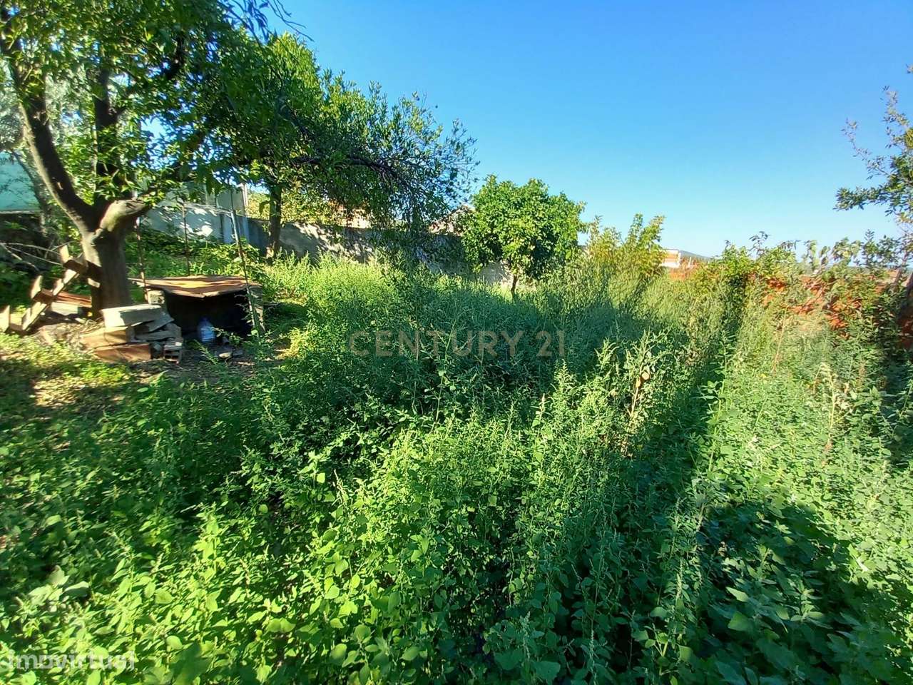 Moradia em Pousafoles - Grande imagem: 5/19