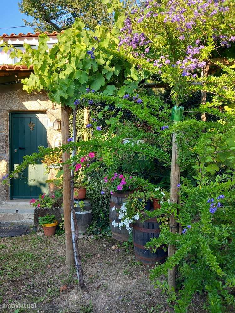 Quintinha - São Tomé de Covelas, Baião-35