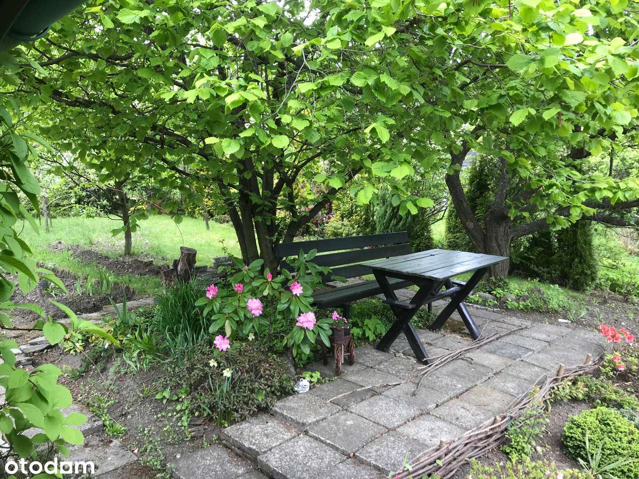 4 pokojowe mieszkanie w Wałbrzychu-6