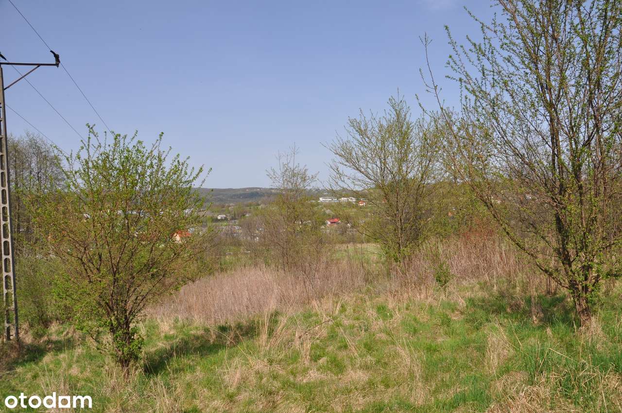 Dobczyce - działka rolna pod rekreację - Pełny obrazek: 5/7