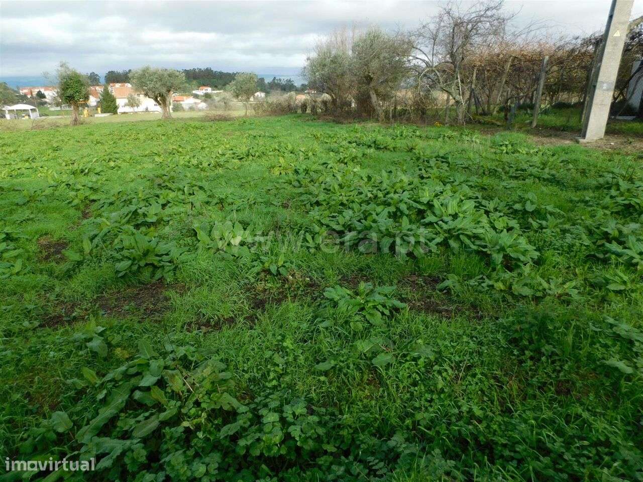 Terreno / Gouveia, Gouveia - Grande imagem: 2/16