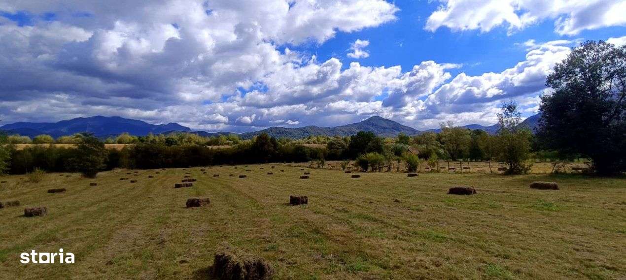 Teren cu suprafata generoasa in zona pitoreasca - Bran Sohodol-2