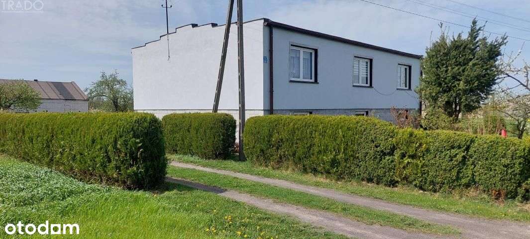 Gospodarstwo 5,72 ha Góraj gm. Babiak-2