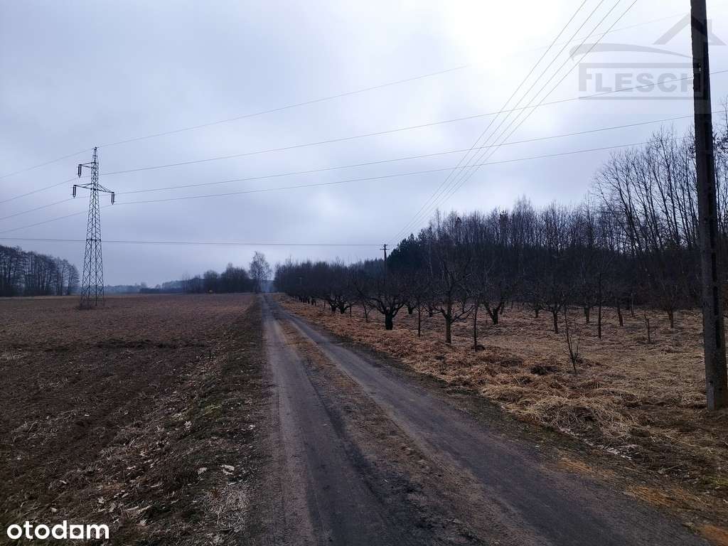 Działka budowlana Lisówek 3500m2 - Pełny obrazek: 4/5