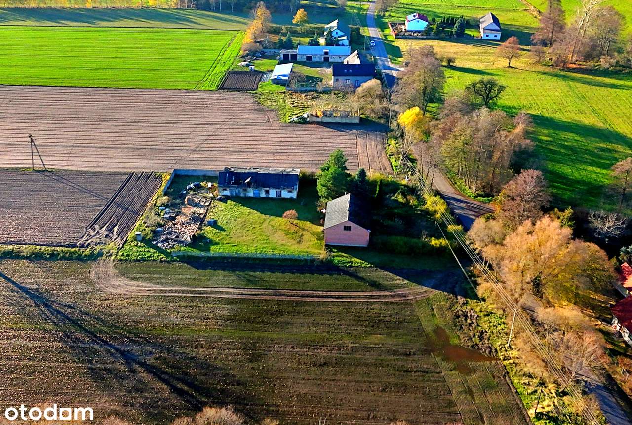 Dom z potencjałem na dużej działce–Nowy Pudłów, blisko Poddębic-3