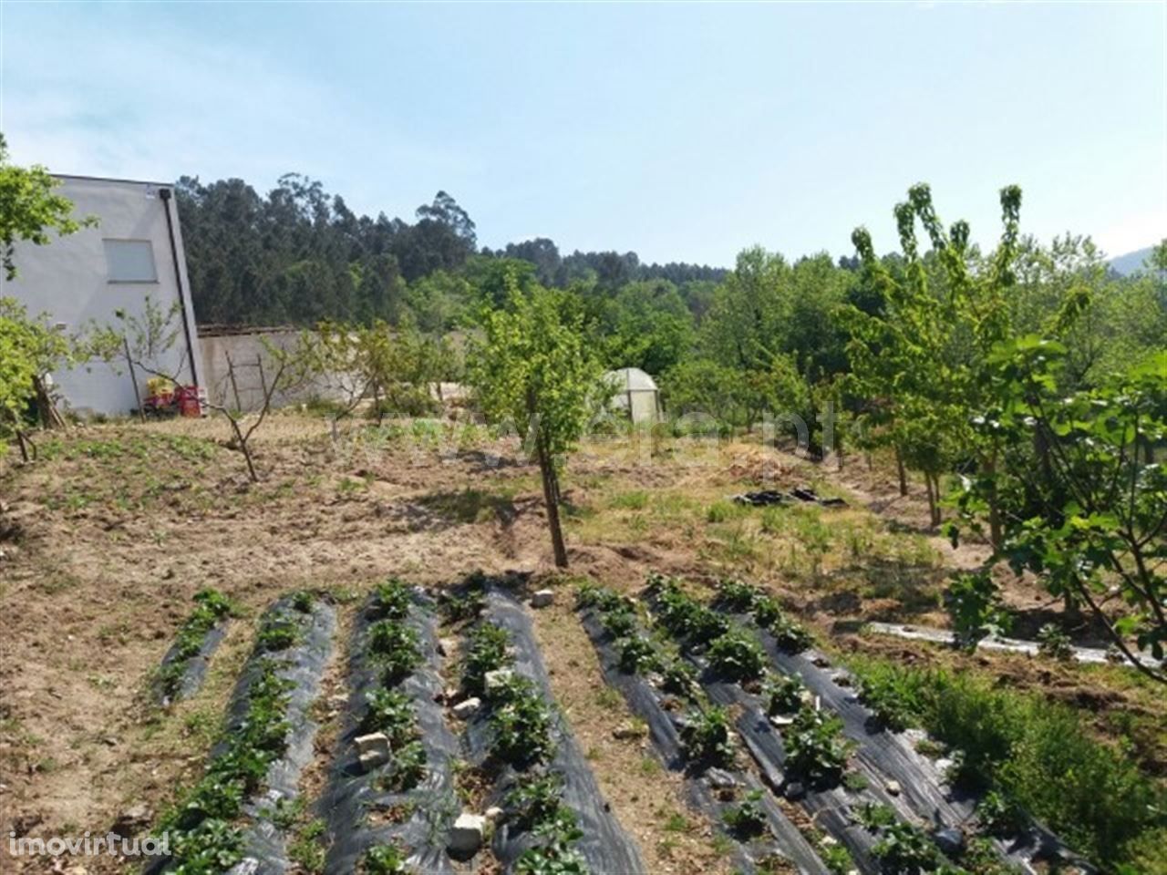 Terreno para construção com 2.100 m2 em Cabeceiras de Basto